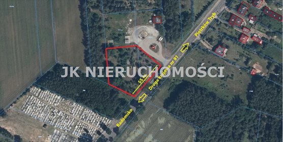 Działka inwestycyjna na sprzedaż Niechcice 3 500m2 Foto 2