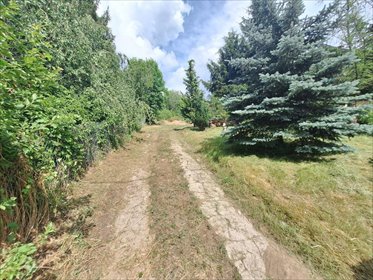 działka na sprzedaż 814m2 działka Przytok, LUBUSKA 51