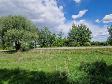 Działka budowlana na sprzedaż Mikołów, Paniowy, Mokierska 1 047m2 Foto 3