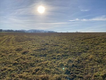 działka na sprzedaż 25920m2 działka Kisielów, Kisielów