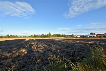 Działka budowlana na sprzedaż Borkowice 1 200m2 Foto 5