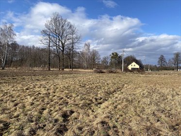 Działka budowlana przy lesie, media, spokojna okolica działka Kiczyce, Kiczyce, Kormoranów