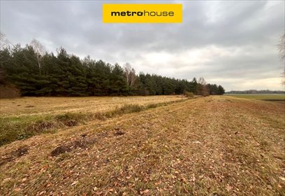 działka na sprzedaż 20253m2 działka Nowa Trzcianka, Trzcianka