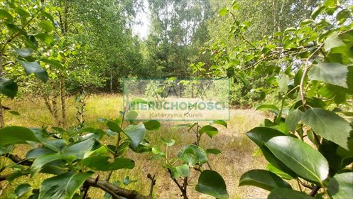 Działka rolna 6708 m² z mediami, las i spokój działka Jaktorów