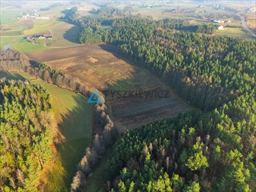 działka na sprzedaż 30005m2 działka Borucino