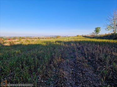 działka na sprzedaż 7700m2 działka Wilków