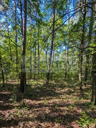 Na sprzedaż działka 3500 m² z mediami i zgodą na zabudowę działka Władysławów