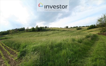 działka na sprzedaż 1300m2 działka Olszanka