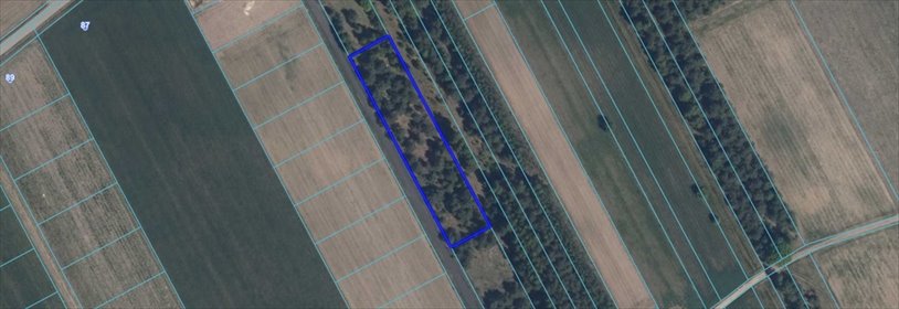 działka na sprzedaż 3187m2 działka Nowy Cydzyn
