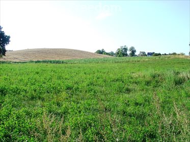 Działka rolna 2600 m² w Szropy (z dostępem do drogi) działka Szropy