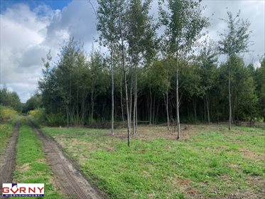Działka inna na sprzedaż Zakrzów 676m2 Foto 3