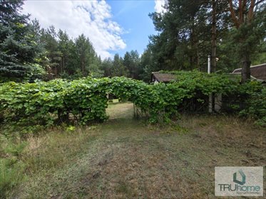 działka na sprzedaż 14348m2 działka Hutka