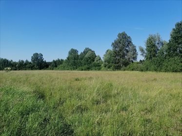 działka na sprzedaż 13641m2 działka Borówiec, Lisa Witalisa