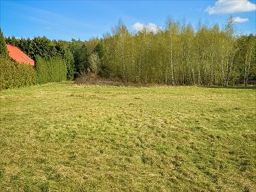 działka na sprzedaż 1055m2 działka Mieściska