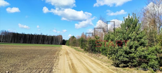 działka na sprzedaż 12300m2 działka Wręcza