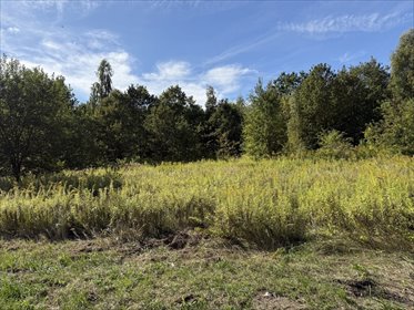 działka na sprzedaż 1525m2 działka Starowa Góra