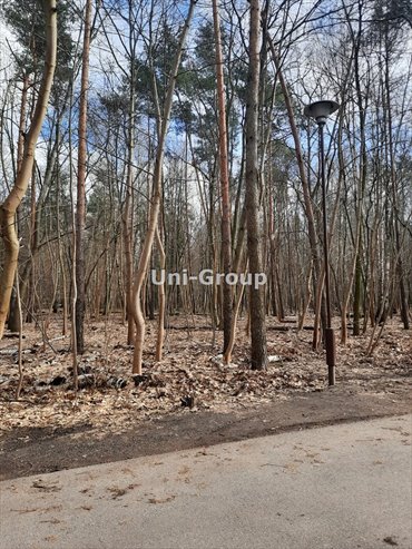 Działka leśna 10 128 m² w Wawer - polecam działka Warszawa, Wawer, Anin, Axentowicza