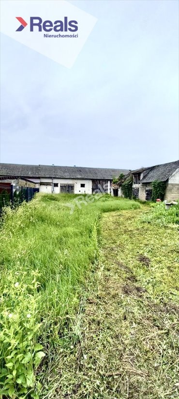magazyn na sprzedaż 4149m2 magazyn Winnica