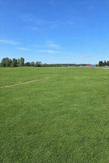 działka na sprzedaż 70000m2 działka Nowogard