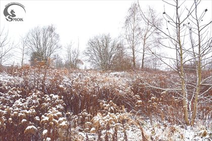 działka na sprzedaż 2800m2 działka Zabawa