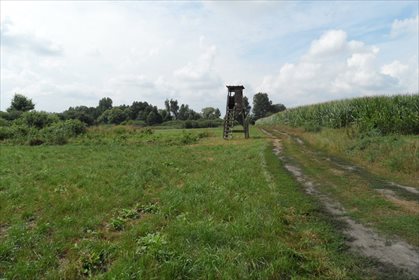 Działka inna na sprzedaż Dalewo 7 722m2 Foto 1