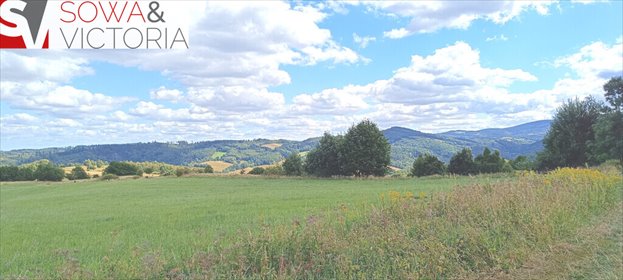 działka na sprzedaż 3000m2 działka Niedźwiedzica