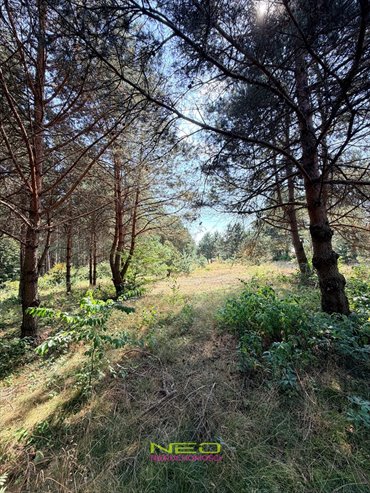 Działka 2866 m² w Biskupicach - las, rezerwat, media działka Biskupice