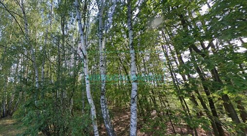 działka na sprzedaż 1768m2 działka Budy Zosine