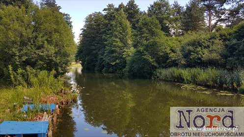 działka na sprzedaż 3010m2 działka Płaska