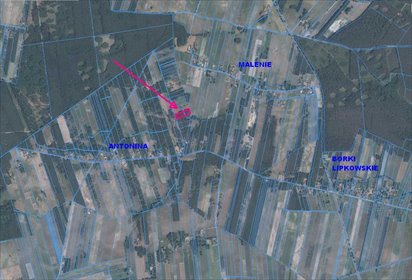 Działka rolna na sprzedaż Antonina 3 200m2 Foto 2