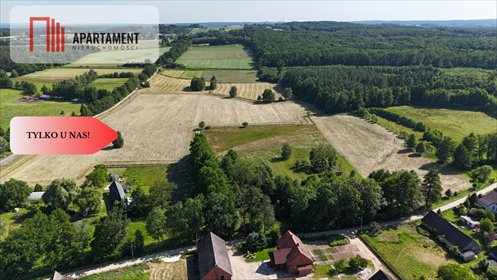 działka na sprzedaż 30000m2 działka Niesułowice