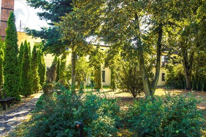 Lokal użytkowy na sprzedaż Zaniemyśl, Świerkowa16 A 792m2 Foto 2