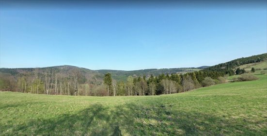 działka na sprzedaż 4994m2 działka Sierpnica