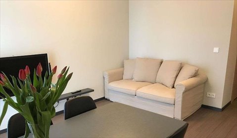 Nowoczesne 2-pokojowe mieszkanie z ogródkiem w Białołęce mieszkanie Warszawa, Białołęka, Mehoffera