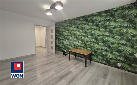 mieszkanie na wynajem 39m2 mieszkanie Mielec, KOCJANA