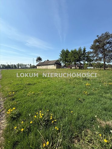 działka na sprzedaż 791m2 działka Golasowice
