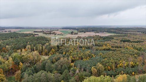 działka na sprzedaż 20700m2 działka Czachówki