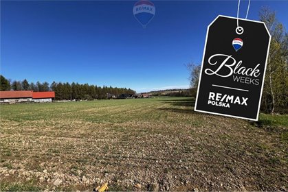 działka na sprzedaż 6003m2 działka Pogórze