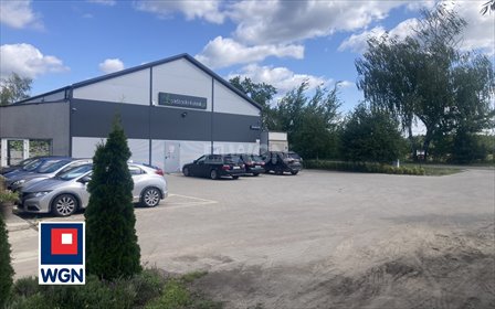 Polecam dochodowe gospodarstwo ogrodnicze 1256 m2 w Konradowie lokal użytkowy Konradów, Konradów