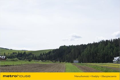 Działka rolna na sprzedaż Niedzica, Łapsze Niżne 1 247m2 Foto 3