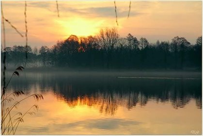 dom na sprzedaż 122m2 dom Pasym, Pasym, Michałki