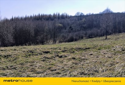 Działka budowlana na sprzedaż Zawiercie, Jurajska 25 700m2 Foto 3
