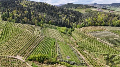 działka na sprzedaż 4500m2 działka Czarny Potok