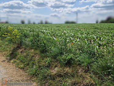 działka na sprzedaż 919m2 działka Dojazdów