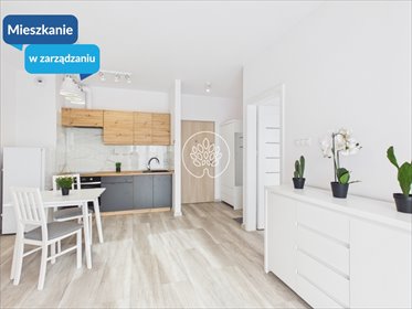 mieszkanie na wynajem 38m2 mieszkanie Bydgoszcz, Bohaterów Kragujewca