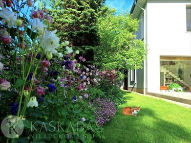 Sprzedam urokliwy dom 160 m² z dużą działką i klimatem śródziemnomorskim dom Łazy