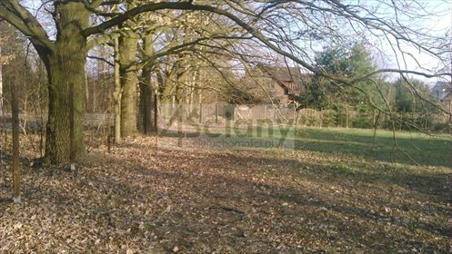 Działka budowlana 1725 m² w spokojnym Wawrze (blisko Mazowieckiego Parku) działka Warszawa, Wawer, Aleksandrów