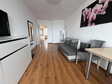 mieszkanie na wynajem 43m2 mieszkanie Osiedle Józefa Strusia