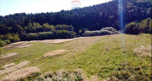 Działka budowlana na sprzedaż Czaszyn 38 200m2 Foto 4