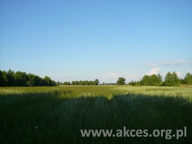 działka na sprzedaż 10000m2 działka Bartoszówka